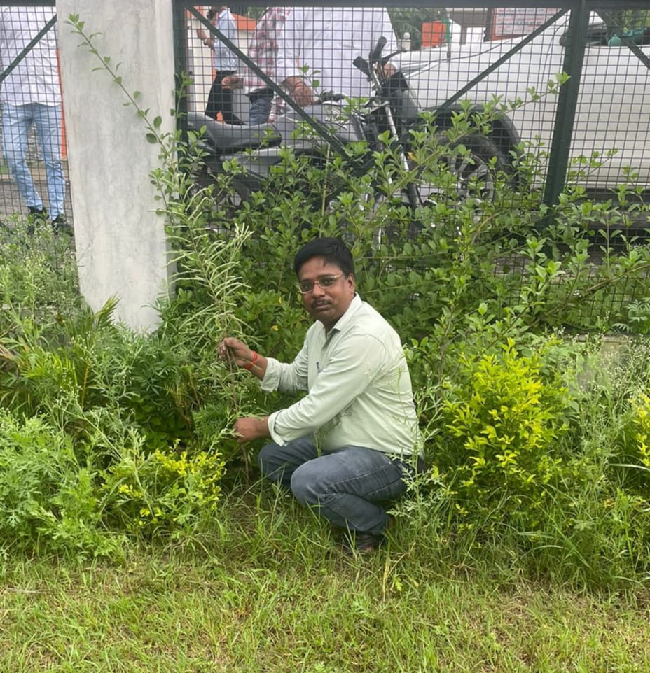 नीलकंठ जन विकास सेवा समिति